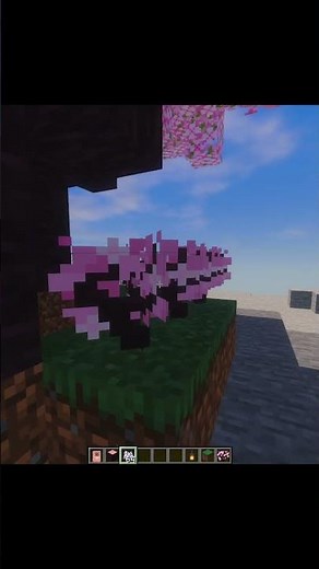 #stopchallenge