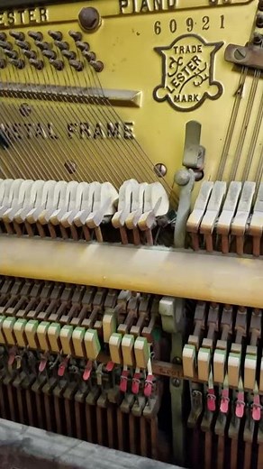 Hear piano note G2
