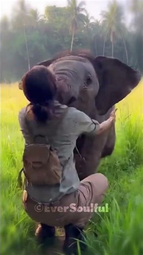 A Little Elepahnt with big Heart for his Human