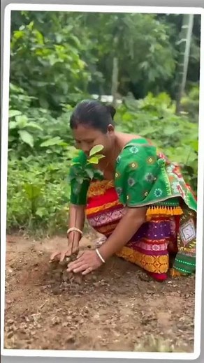 Assam Sets a Green Record with 1.02 Crore Saplings