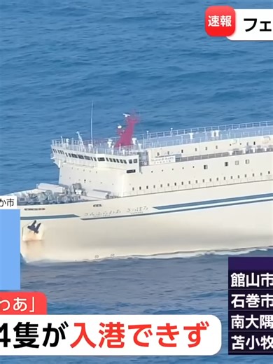 商船三井さんふらわあのフェリー入港遅延