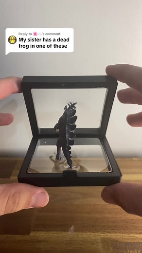 Innovative Freezedisplay that Fits Anything