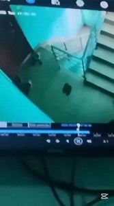 Little girl climbed the ladder to hell