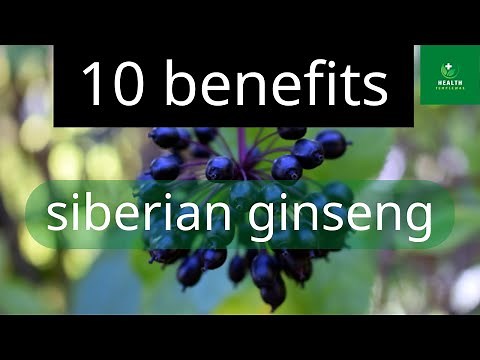 10 benefits of siberian ginseng | siberian ginseng | Health Templewas
