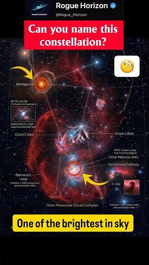Do You Know This Famous Constellation? #spaceexploration #space #celestial #constellation #orion #yt