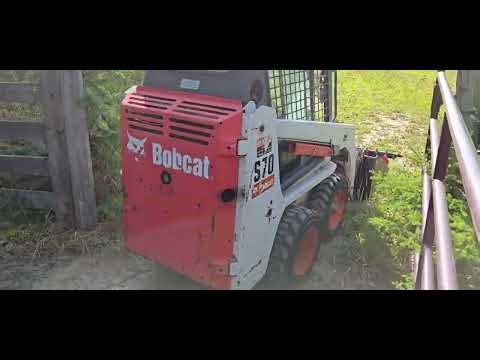 “Building a Forest Cattle Corral | Daily Homestead Life & River Adventures”