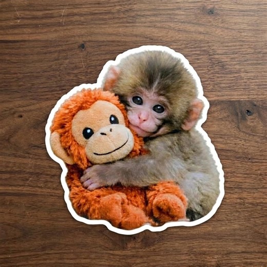 Punch the Monkey Cute Decal for Water Bottles and Laptops, Viral Baby Monkey Sticker, Famous Zoo Monkey - Emotional Support Animal Sticker - Etsy
