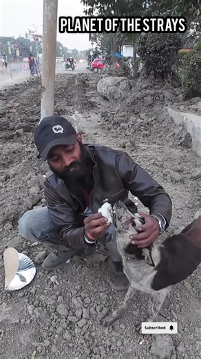 “One Kind Act Changed Her Life 🐕💔➡️❤️” #shorts #adoptstrays #humanity #happiness #pets #treatment