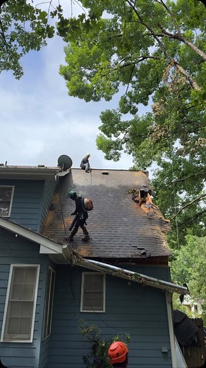 👉Emergency Tree Removal 💥Free Estimate 📲(470) 315-3920 ✅ Fully insured and Licensed . #treeremoval #tree #treesofinstagram #treeservices #treepruning #stump #stumpgrinding #landscapedesign #treeworker #chainsaw #treeservicecompany #freestimates #woodworking #treewern #atlanta #flowerybranch #buford #dacula #gwinnett #freequotes #viral #call #treecutting | Resurgens Tree Service