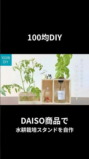 ダイソーで水耕栽培スタンドを自作。 #水耕栽培 #daiso #diy