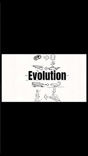 Theory Of Evolution | #theoryofevolution #darwin #shorts #animated #transformation