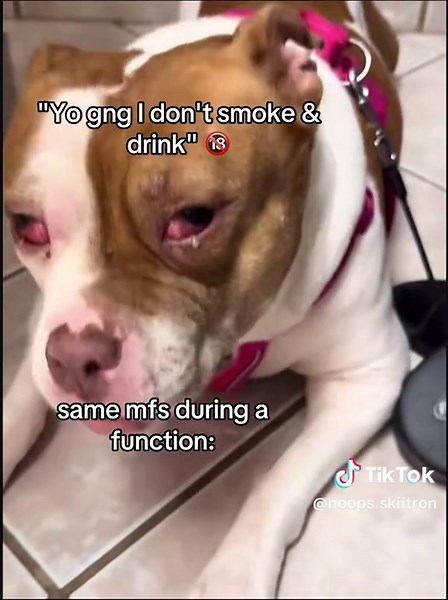 LeBron's Best Shoes for Kids and More