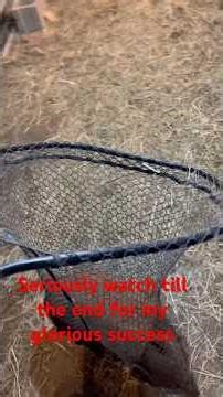 Watch till the end for how to catch a piglet. #fishnet #piglets #farmlife #funny #getweird #funny