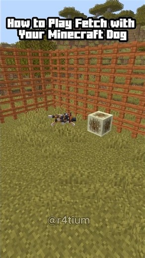 How to Play Fetch with Your Minecraft Dog