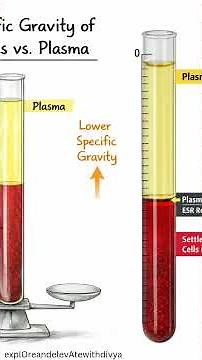How to Read ESR Correctly | Westergren Method #paramedical #medical #esr