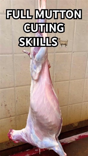 Fast & Precise Butchery: Full Meat Processing Guide | The Meat Talks