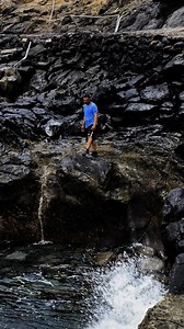 Muy buen clavadista, es un pescado mi compa | El Compa Meño