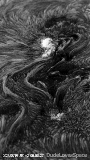 DudeLovesSpace on Instagram: "The Sun in Extreme Detail! Captured With My Telescope #astronomy #space #solarsystem There is some great complexity happening at this active spot including a filament creeping out and multiple sunspots. Look closely and you’ll even spot penumbral waves running from the white (sun) spots! This time-lapse reveals mesmerizing solar activity through a special filter, the Daystar Quark Chromosphere, bringing you views of solar flares and chromospheric features in exquisi