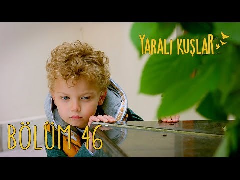 Yaralı Kuşlar 46. Bölüm