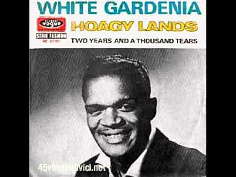 Hoagy Lands - Lighted Windows