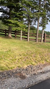 This past weekend at the Think Like A Queen Clinic was an unforgettable experience. I had the opportunity to learn from and connect with some of the most inspiring women in the rodeo queen community. Ashley Kerby, Lexy Hibbs, and Kennadee Riggs led the clinic with such passion and expertise. Their guidance and stories have fueled my passion and commitment to this role. A special thank you to Hayley Carver and Heather Callaway for organizing this empowering clinic. Your dedication to supporting y