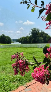 172 reactions · 24 shares | 2 out of every 5 visitors to Smithfield...