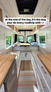 why living in a van with a dog is NOT a bad thing : we receive multiple comments every week asking why we live in our van with a dog and why we “put our dog through this” among many other hate comments about it and it seems these comments are misguided. living in a van with a dog is dramatically different than just leaving your dog in a normal car. most vans and rvs are equipped to be as closely comfortable to a house as possible (especially ours given that we have an A/C unit) so leaving Chloe 