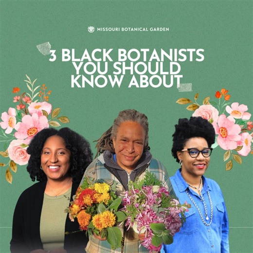 The botanical legacy of Edmond Albius, George Washington Carver, Dr. Thomas Wyatt Turner and Marie Clark Taylor and many others continue to this day. These modern-day botanists, horticulturists, farmers, etc. continue to leave a lasting impact on the botanical world. Meet 3 Black botanists you should know about! 🌸 Abra Lee is a horticulturist and historian who has become a prominent name in shining a light on the untold stories of black horticulturists throughout history. 🌸 Dr. Tanisha William