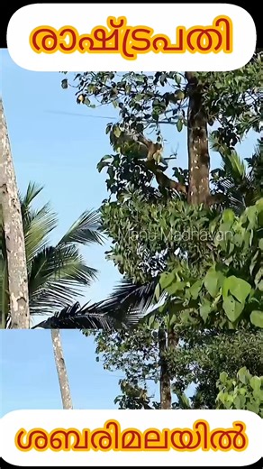 60K views · 771 reactions | രാഷ്ട്രപതി ദ്രൗപതി മുർമു ശബരിമലയിൽ പതിനെട്ടാം പടി കയറി ദർശനം നടത്തി | Manu Madhavan | Facebook