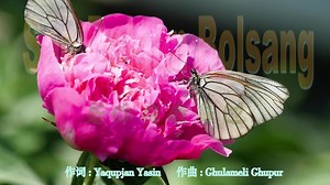 维吾尔族流行歌曲《San Bolgan Bolsang》好听！倾诉着无限的思念