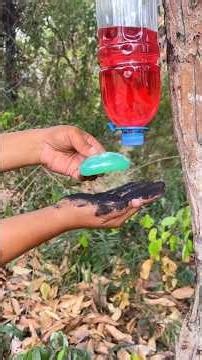 Survival Skills: The shows and Useful save SOAP & Water #bushcraft #camping #survival #ideas #useful