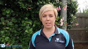 Today, let's talk about "canine calming signals." These are subtle...