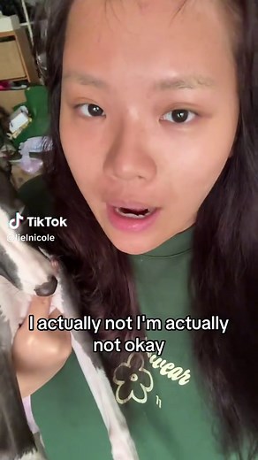 Understanding Italian Greyhounds: Traits and Temperament