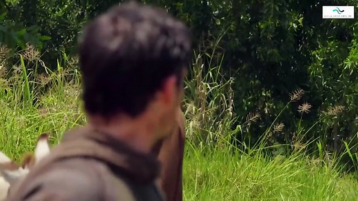 Gênesis capítulo 21 audio en español