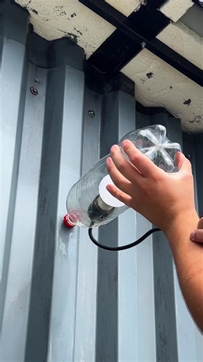 Genius light hack | Naturee