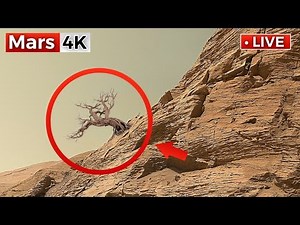 NASA Mars Rover Sends Incredible 360° Footage of Mars In 4K | Perseverance Rover Footage SOL 1525