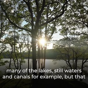 12K views · 53 reactions | The coarse fish Close Season starts today, meaning it’s illegal to fish for coarse fish in rivers until 15 June inclusive. We spoke to Fisheries Officer Matt Buck to find out why the close season is so important  Read more: https://environmentagency.blog.gov.uk/2021/03/15/start-of-the-close-season-how-do-we-protect-our-breeding-fish-at-this-time-of-year/ | Environment Agency | Facebook