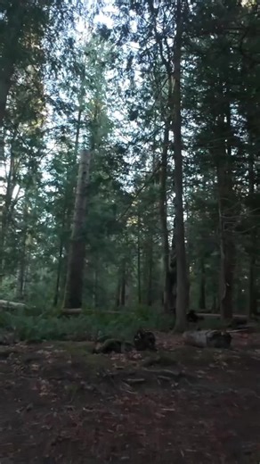 deathpilotspoof🐇 (@deathpilotspoof)’s videos with original sound - deathpilotspoof🐇