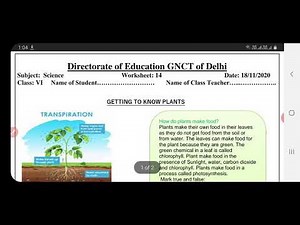 science worksheet 14 class6 (18/11/20)English medium/class 6 worksheet science14/science worksheet14