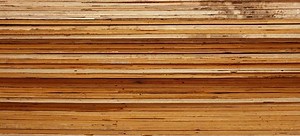 Different Types of Exterior Plywood Explained | DoItYourself.com