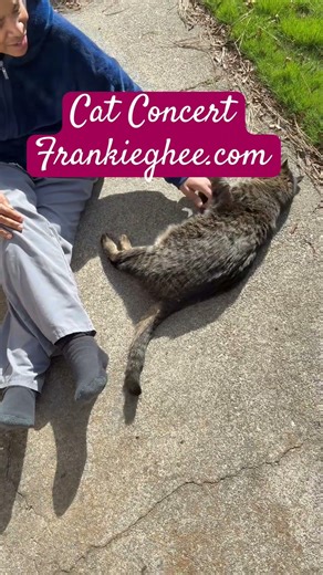 #Spokane #spring “Chain of Fools” #cover #arethafranklin #catlife #cat #catconcert #teamjoy #sun