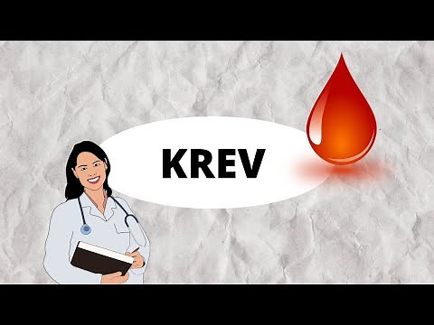 KREV - Základní rozdělení krve