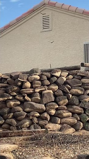 How to Stop Bats from Entering Your Attic