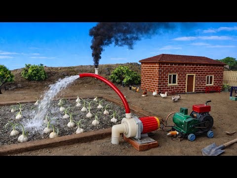 DIY Tractor Water Pump Irrigation | Garlic Cultivation Project @SojoCreator 