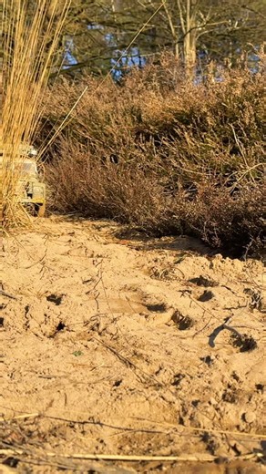 2.8K reactions · 77 shares | Scale Land Rover Camel Trophy Sand Off Road Boom Racing RC Off Road Adventure BRX02 #rcscale #offroad4x4 #rccars #rccameltrophy #trophy #cameltrophy #offroad #4x4 #scaleoffroad #rcoffroad #landrover #hobby #brx02 #boomracing #adventure #landrovertrophy #defender #defendercameltrophy #scalerc #rccrawler #rockcrawling #rccar #rc #rcadventure #instagood #foryou #offroadrc | Maxee RC | Facebook