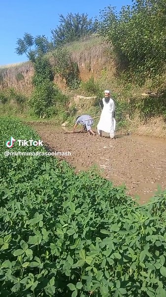 Traditional Farming Practices in Rural Settings