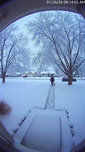 Tree explodes in a blast of ice—caught on the doorbell cam ❄️💥 | The Lowdown