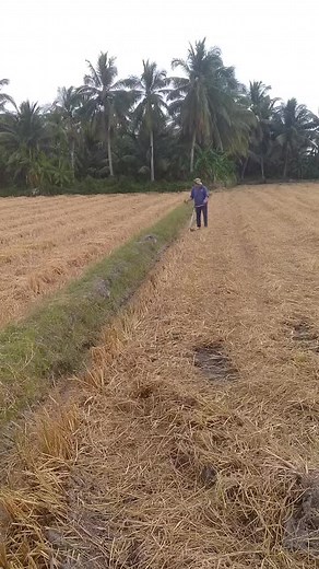 Video của Tran Kiet (@tran.kiet157) với bản nhạc nhạc nền - Hải♏iềnƮây71🌾