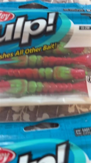 What is your favorite color in the new Turbo Shrimp Gulp series? Let me know in the comments and you might just win a free pack of them! . . . #speckledtrout #berkleyGulp #saltwaterfishing #fishingguide #fishing #captjot #berkleyfishing #seatrout #fallfishing #octoberfishing #inshorefishing #lighttackle #turboshrimp | Capt. Jot Owens/Jot It Down Fishing Charters LLC