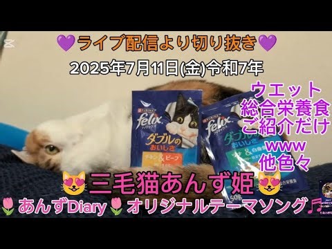 『💜ライブ配信より切り抜き💜ウエット総合栄養食ご紹介とのびのび寝可愛い寝ごめん寝😴等』2025年7月11日(金)令和７年(あんずDiary推定６歳頃)#あんずDiaryオリジナルテーマソング